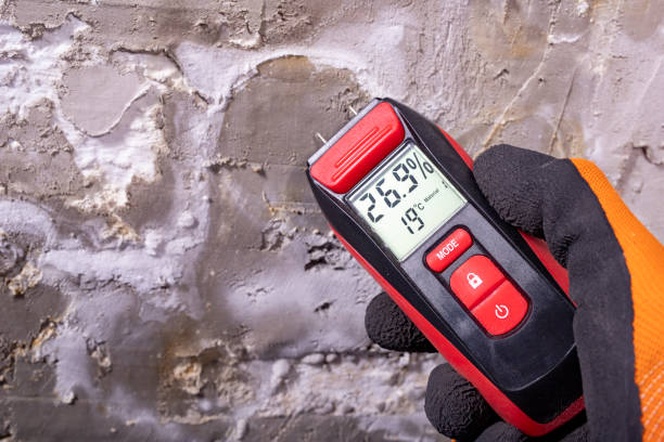 Best Mold Cleaning Services  in Newark, OH