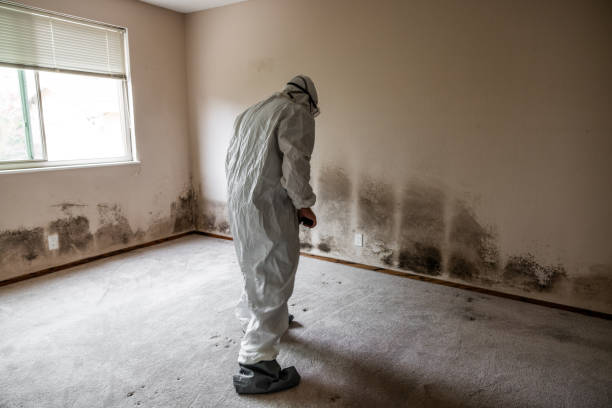 Best Crawl Space Mold Removal  in Newark, OH