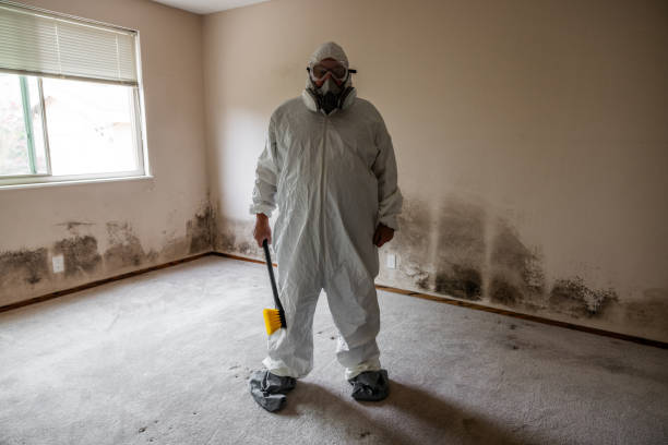 Trusted Newark, OH Mold Removal Experts