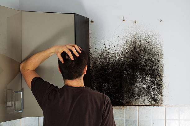 Best Fast Mold Removal  in Newark, OH